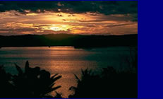 Island for sale